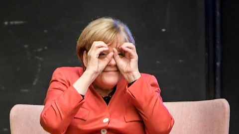 КТО ОН? ⟩ С выпадом Меркель против Эстонии согласен только один депутат Рийгикогу