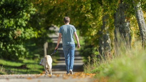 V Latviji v torek delno oblačno in toplo vreme