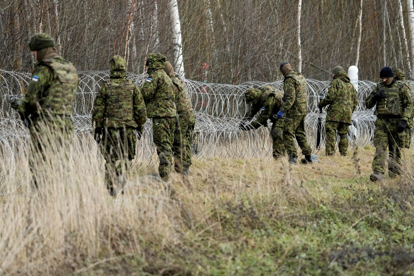 Igaunijas Aizsardzības spēku karavīri, rezervisti un Policijas un robežsardzes departamenta darbinieki sākuši pagaidu nožogojuma būvi pie valsts robežas ar Krieviju.