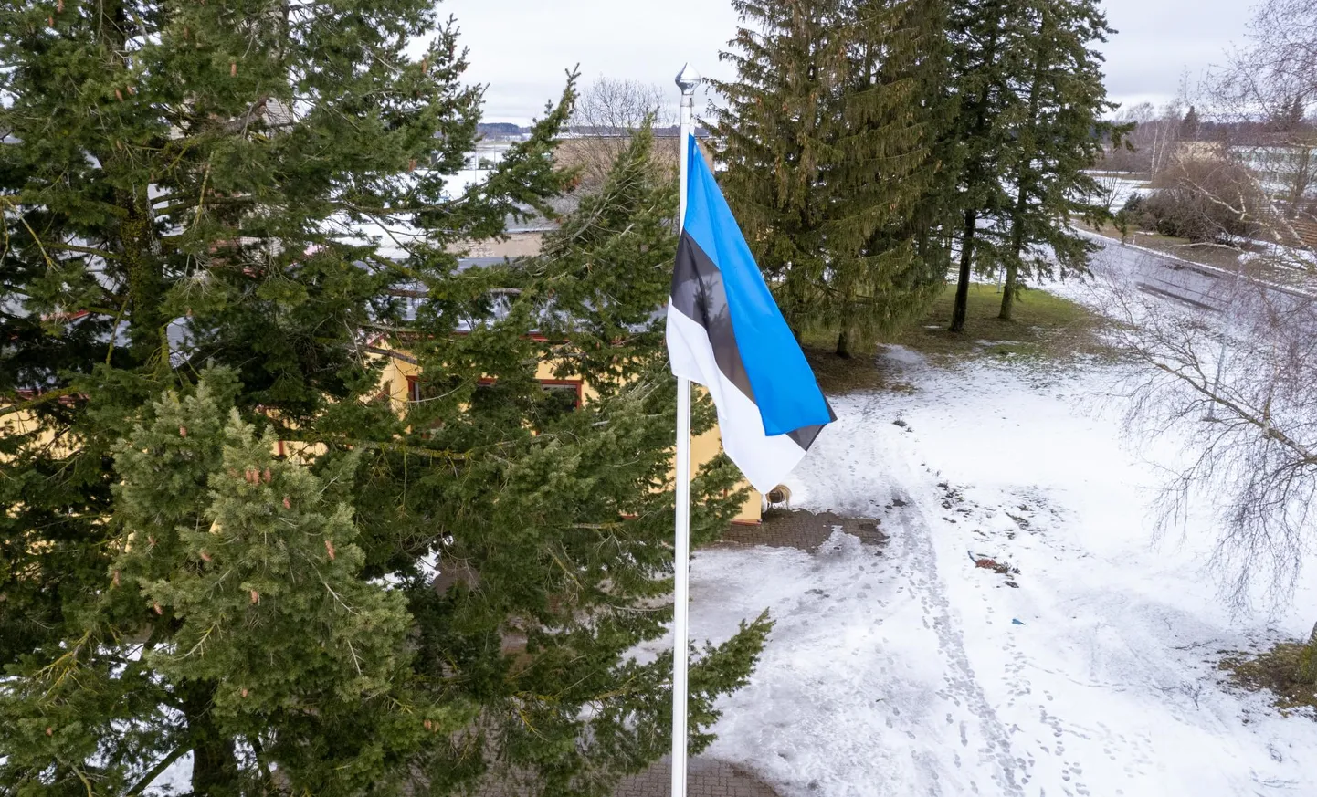 Emakeelepäeval, 14. märtsil on lipupäev.