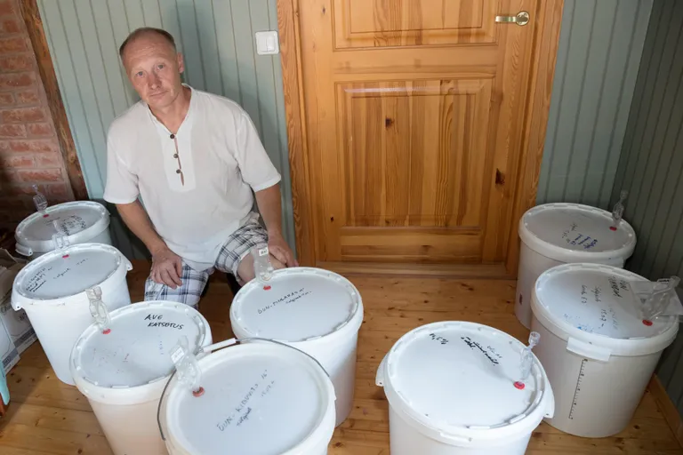 Veinivalmistamiseks eraldatud toas kimbutavad Koit Petersit äädikakärbsed ainult aeg-ajalt.