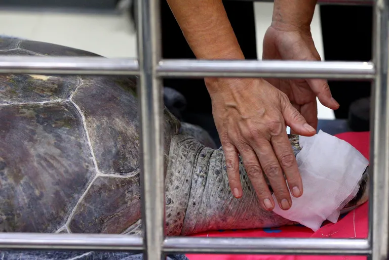 REUTERS/Athit Perawongmetha/Scanpix