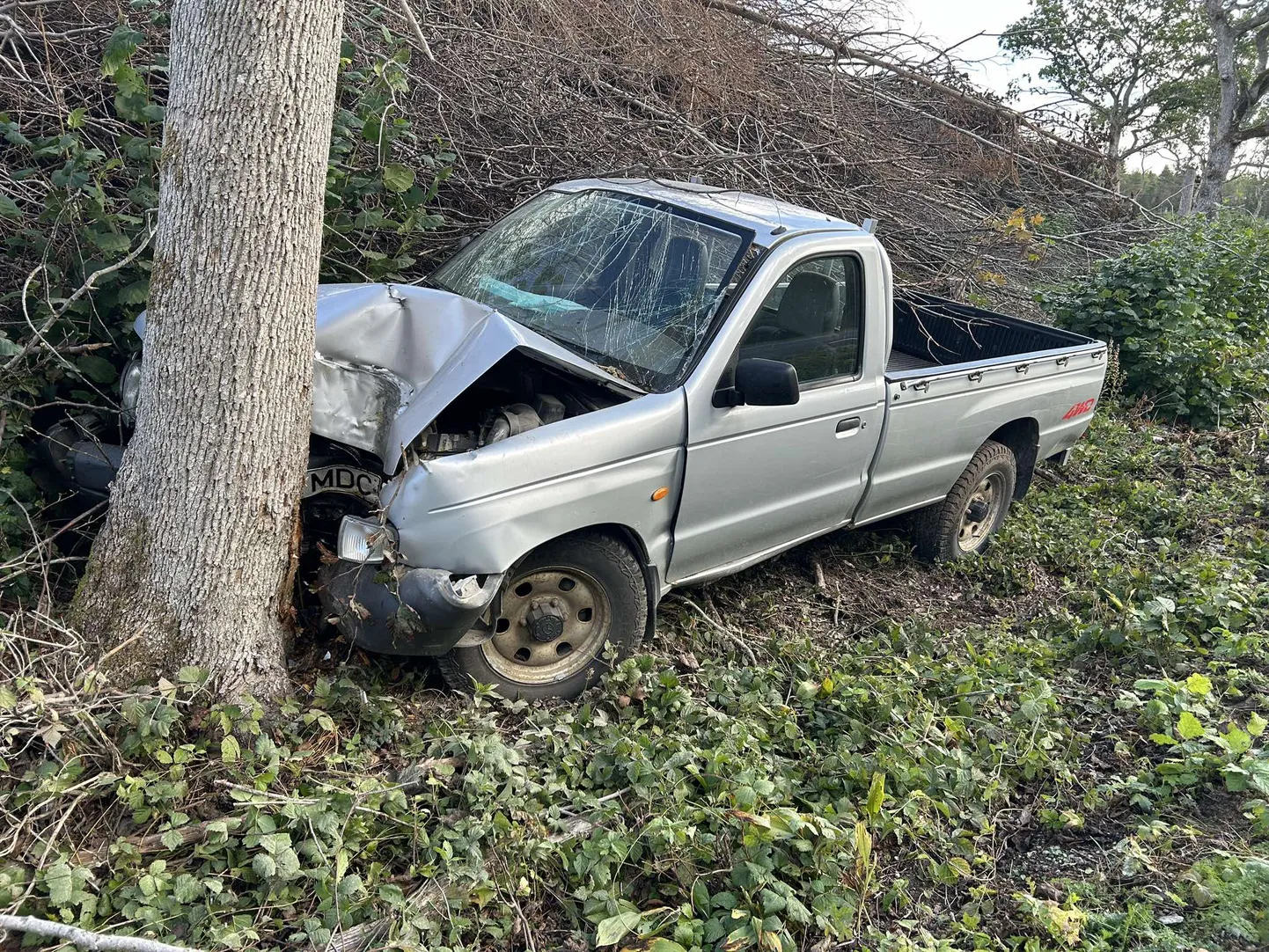 Auto sõitis puusse