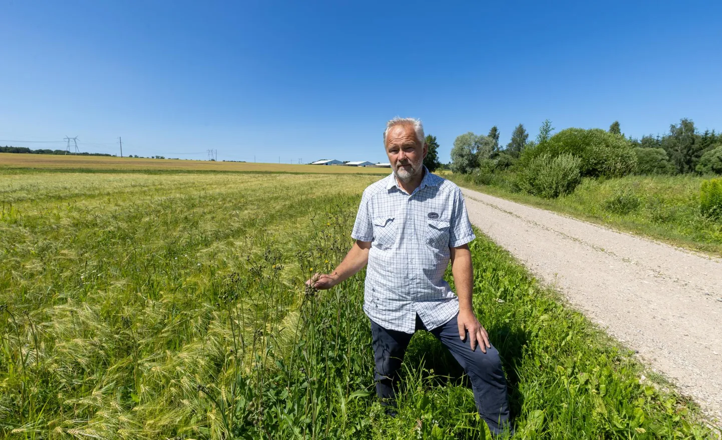 Toomas Marga soov on tema perele kuulunud maadel hakata põldu pidama. Praegu haljendab sellel Tartu Agro vili, taamal paistab samale põllumajandusettevõttele kuuluv farm.