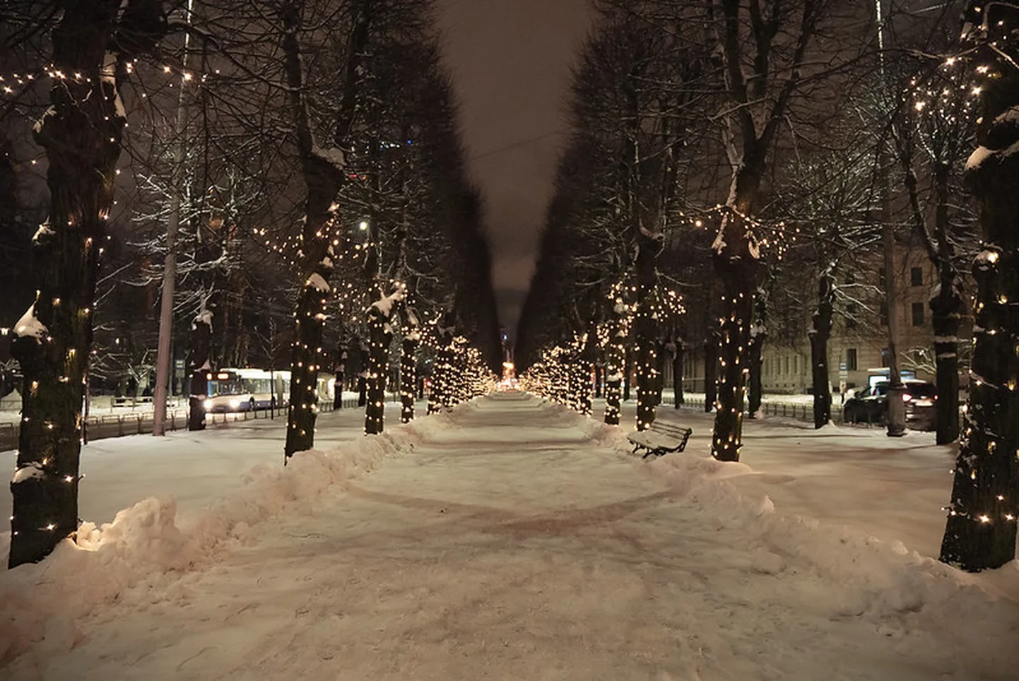 Фото статьи