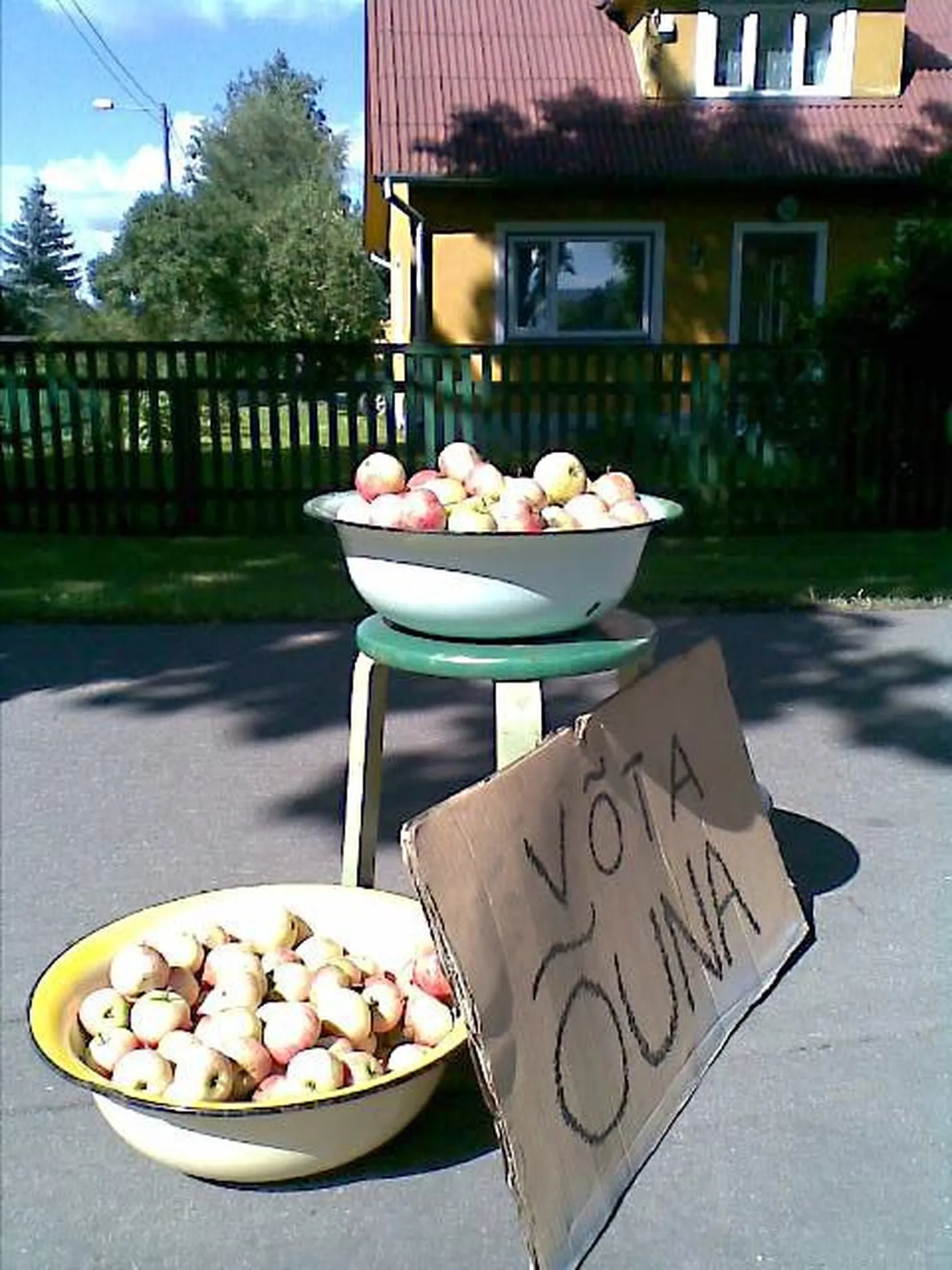 Kel isu kodumaise õuna järele, saab suu magusaks teha päris tasuta. Peep Petersoni aia viljad on saadaval Riia tänava kõnnitee ääres.