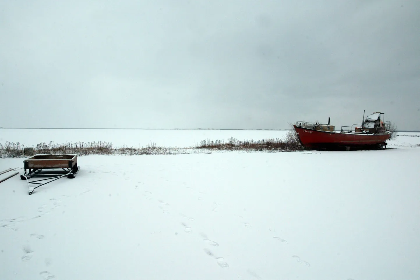 Järv.