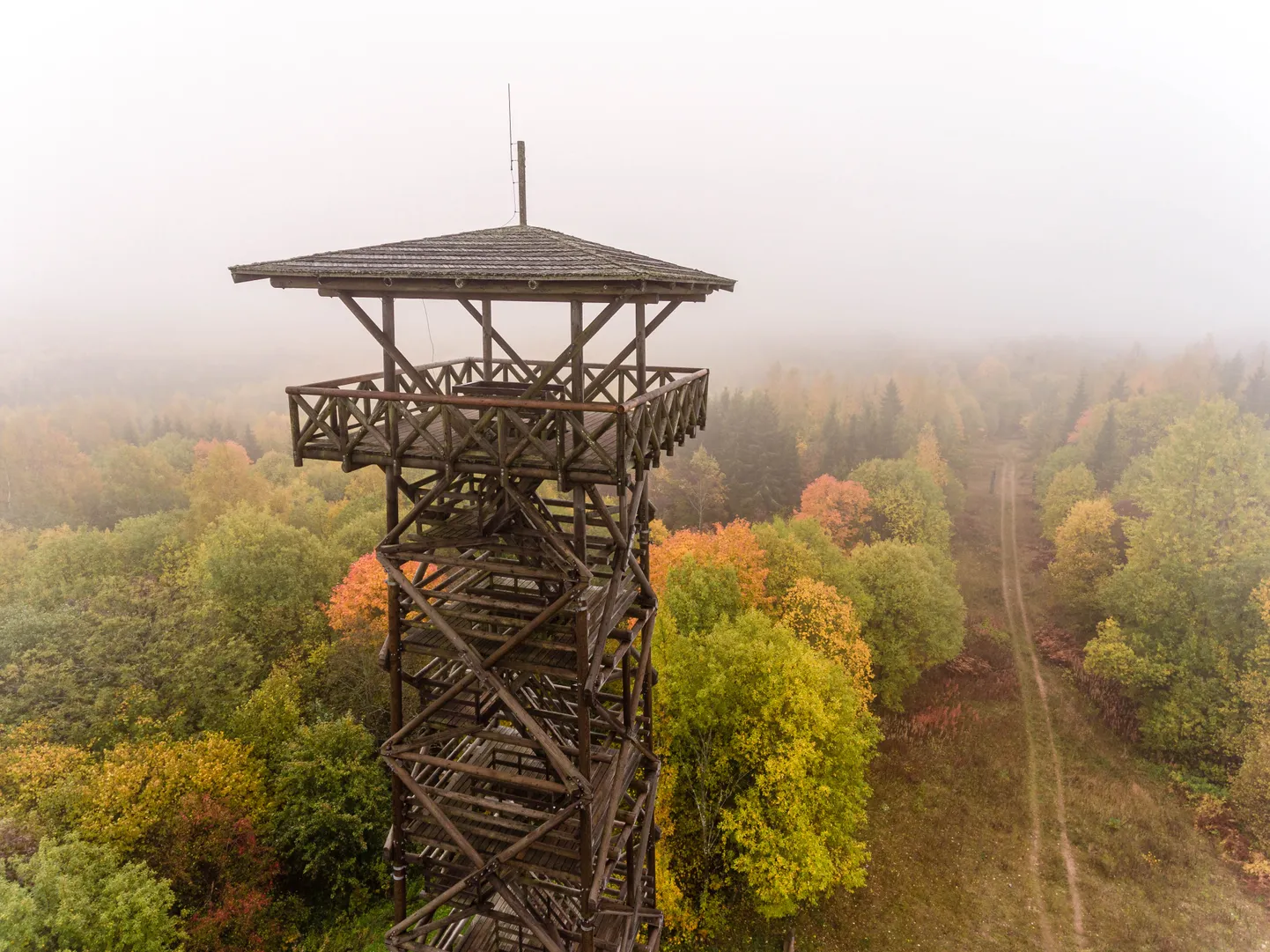 Фото статьи