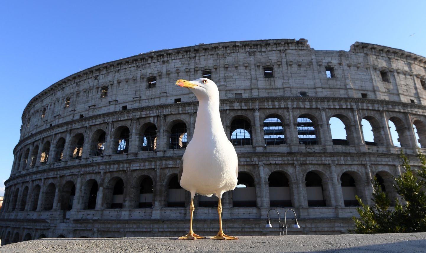 Itaalia Rooma kuulsa Colosseumi juures on inimtühi