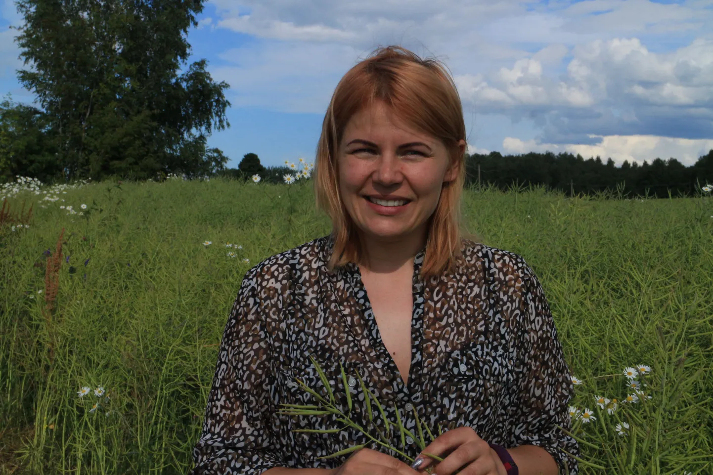 Poolteist kuud tagasi oli Koolitare talu perenaine Eva Tuusis rapsisaagi suhtes vägagi lootusrikas – paistis, et tuleb rohke ja kvaliteetne saak. Paraku rikkus vahepealne vihmaperiood parima koristusaja. «Lihtsalt istud ja vaatad, kuidas asjad järjest halvemaks lähevad ja midagi teha ei saa,» nendib naine.