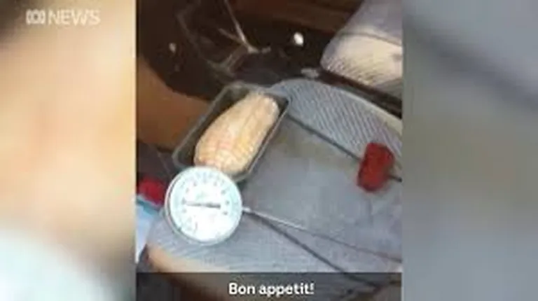 Austraallane Stu Pengelly küpsetas sealiha kuumas autos