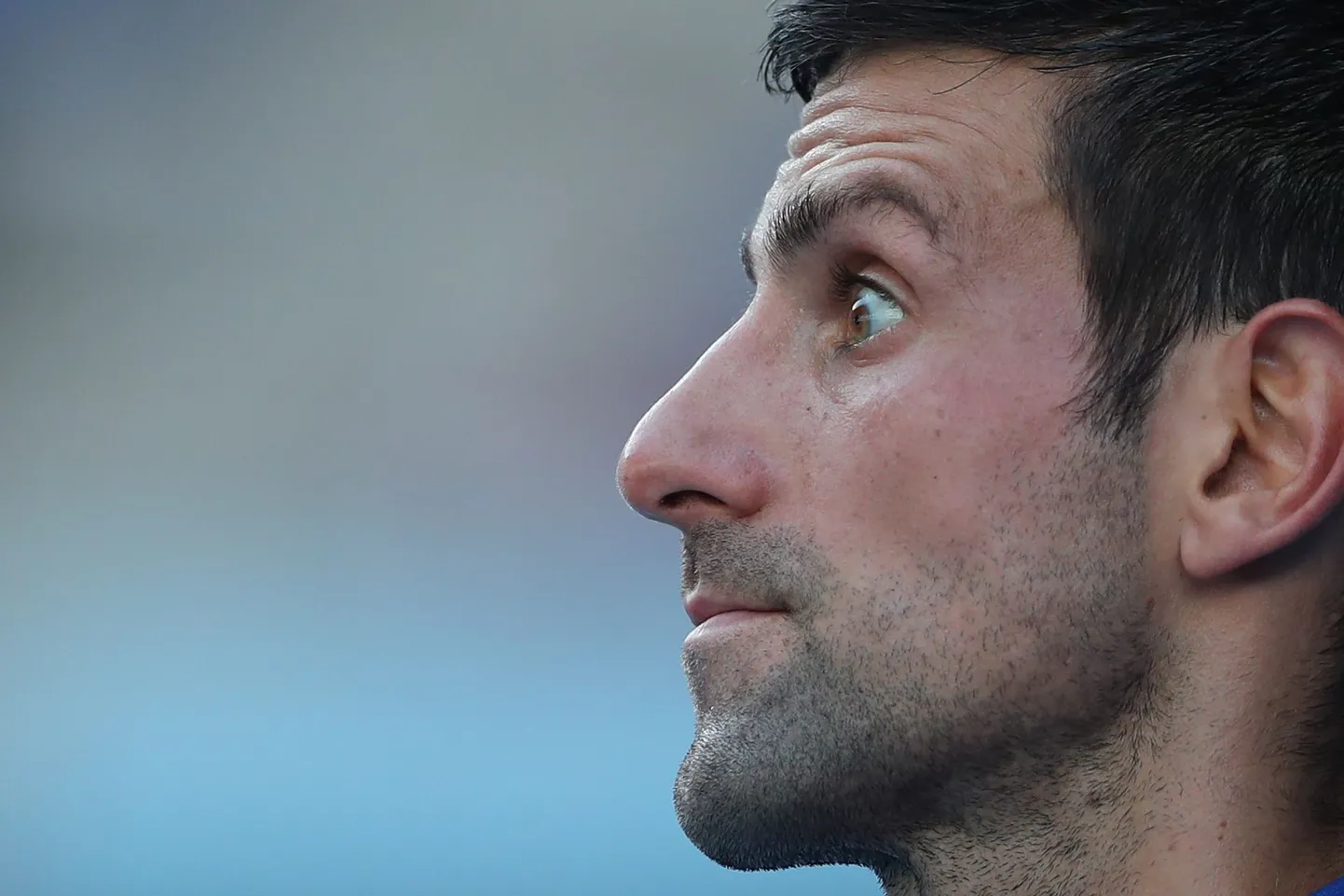 Novak Djokovic.