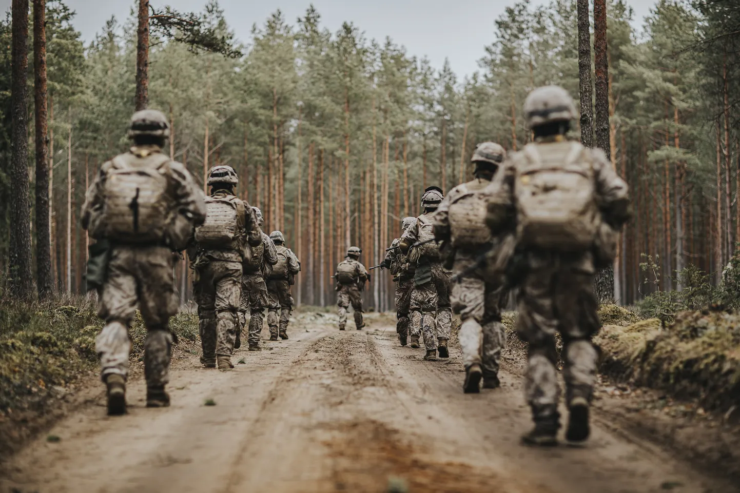 Raksta foto
