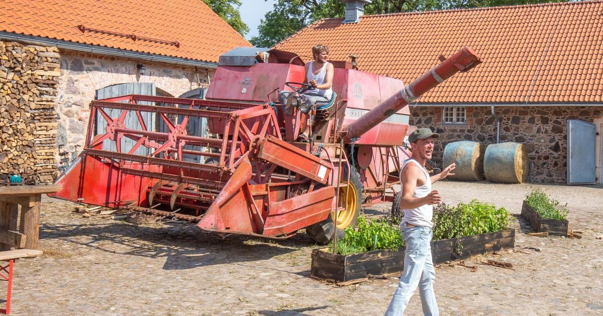 Lavastaja Peep Maasik: mul on see õnn, et saan iga kell minna põllule - Vimarsana News
