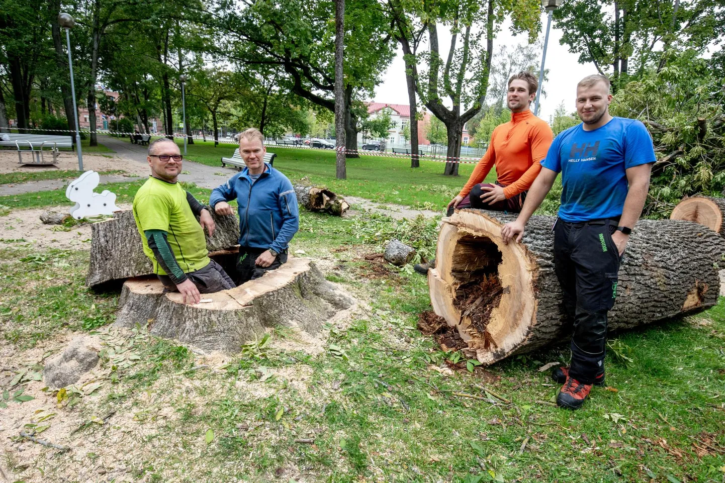 Arboristid võtavad Vanas pargis maha kokku 46 puud.