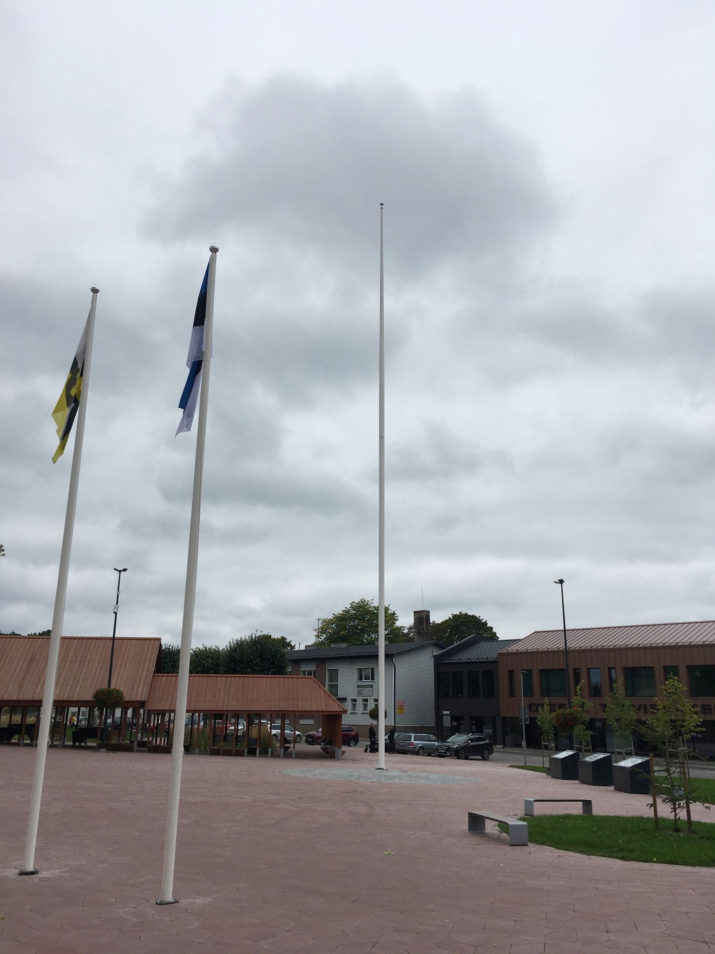 Lipuvarras Otepää Lipuväljakul