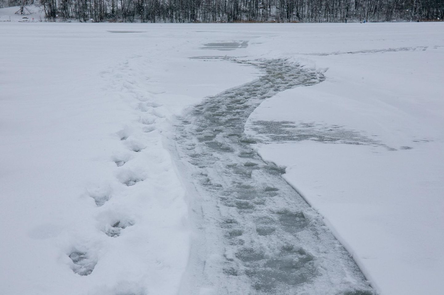 Kuigi jalutajatel palutakse uisuradadele alternatiivi leida, siis Viljandi järvel sellega eriti ei arvestata.