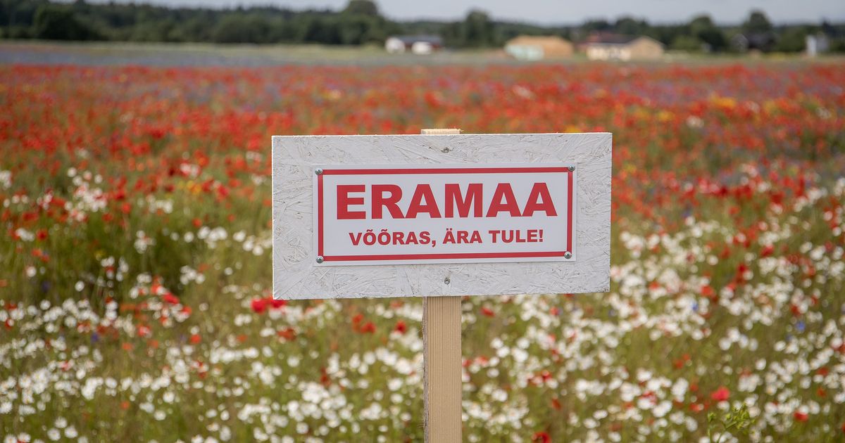 Maamaksu arved on vigased