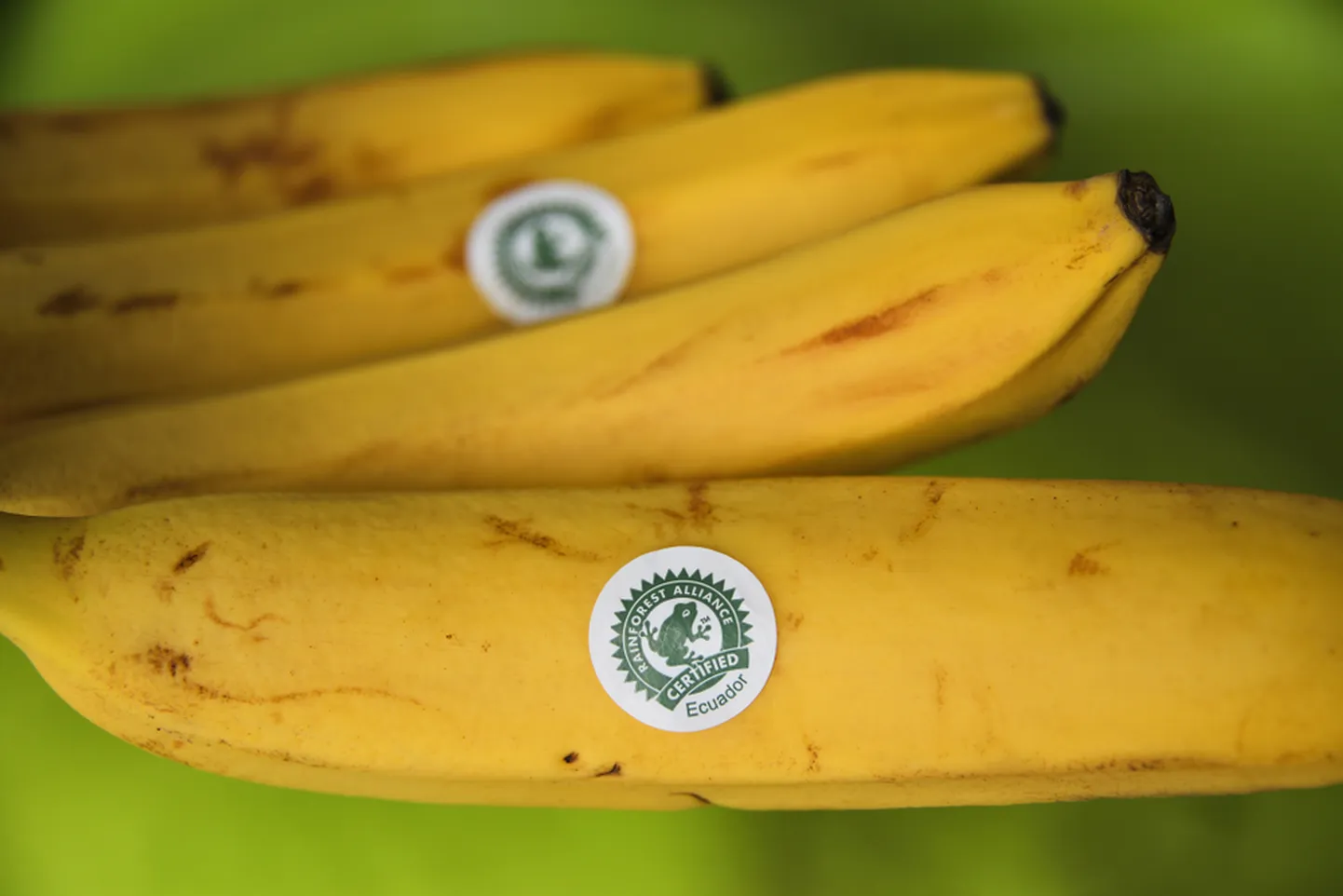 Лягушка на упаковке продукта – признак отравы или экологичности?