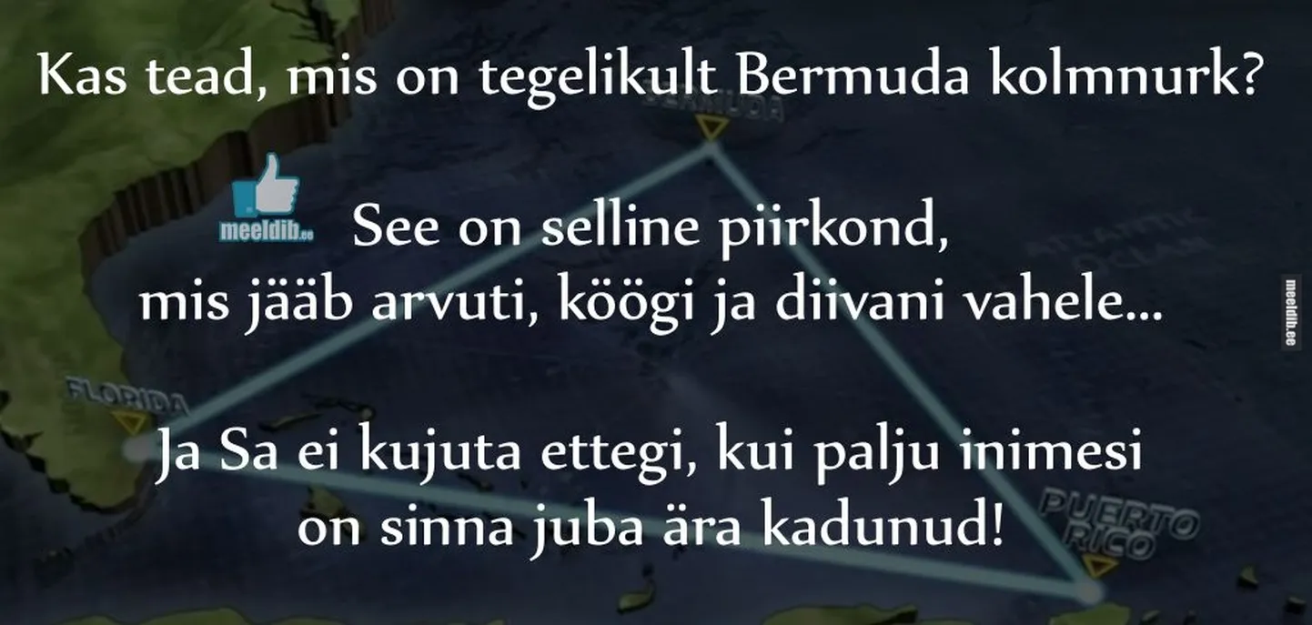 Artikli foto