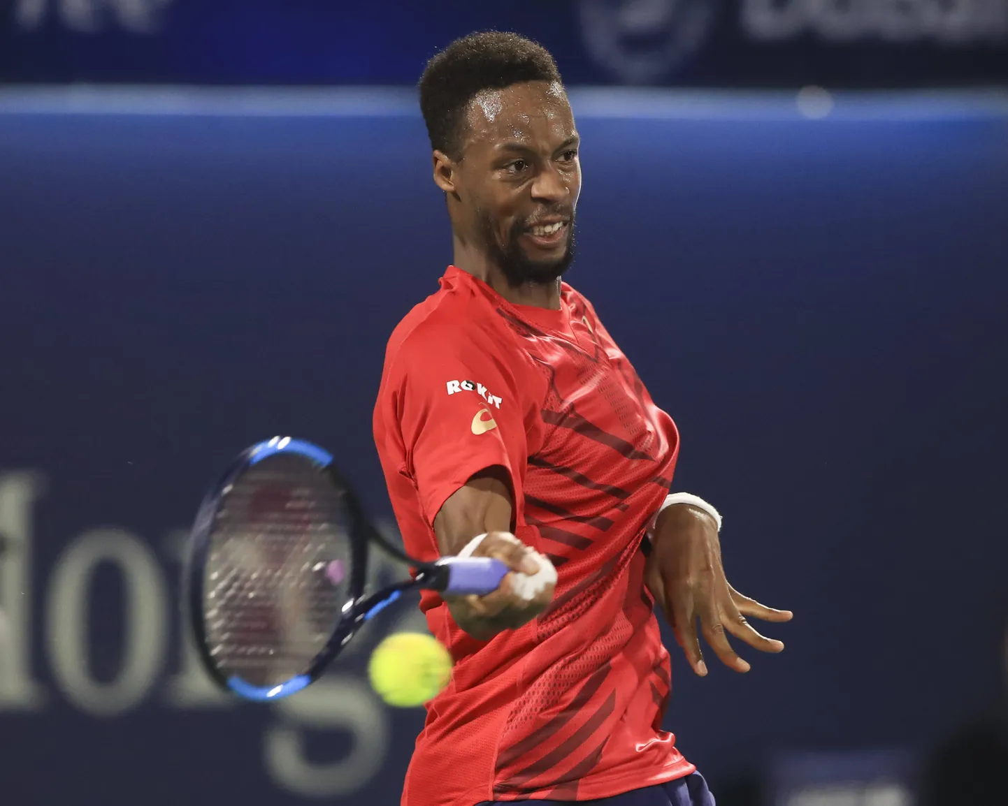 Gael Monfils
