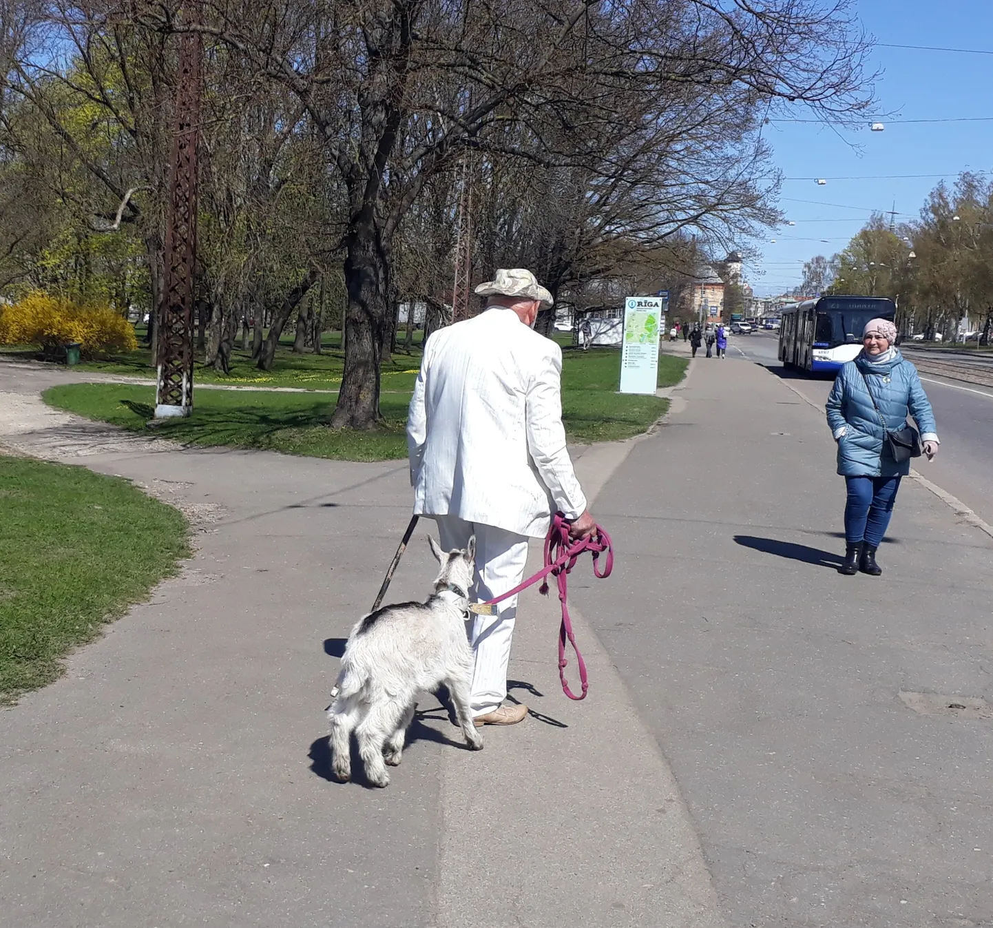 Raksta foto