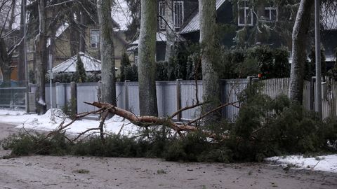 Число вызовов из-за шторма снижается, без электричества остаются около 1200 домохозяйств