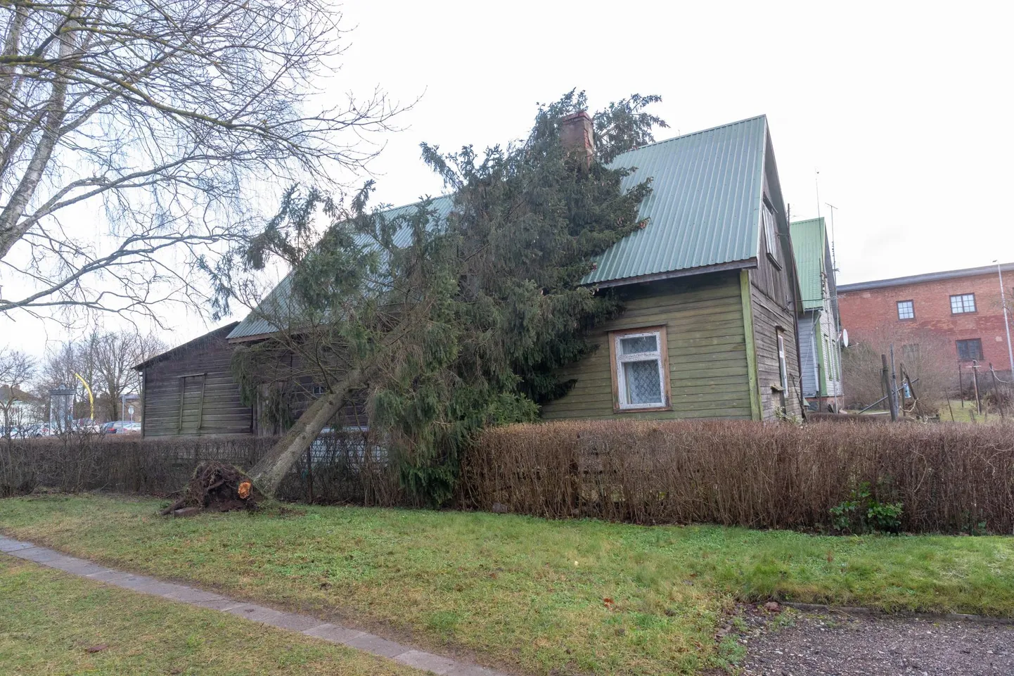 Kaalu tänaval kukkus tormiga puu maja peale.