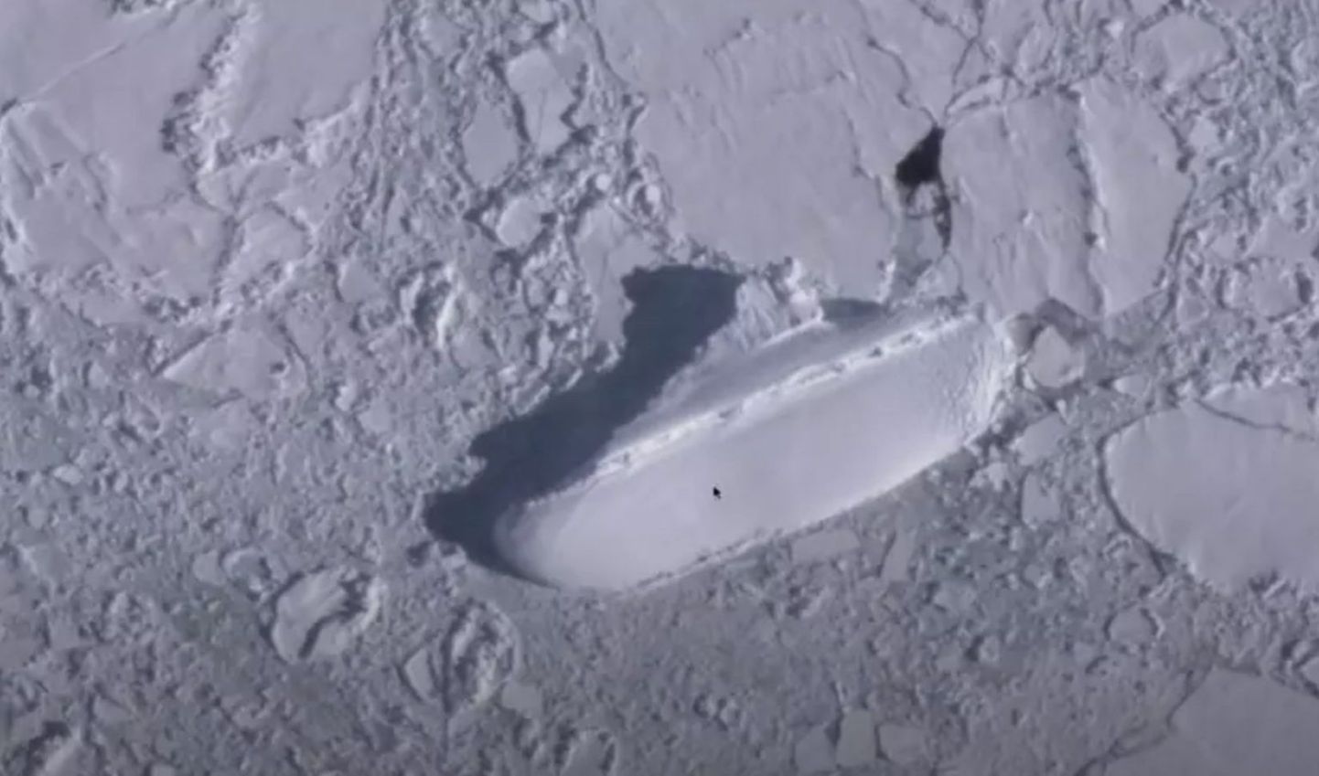 Google Earth kasutajad leidsid Antarktika ranniku lähedal kummalise jäälaeva