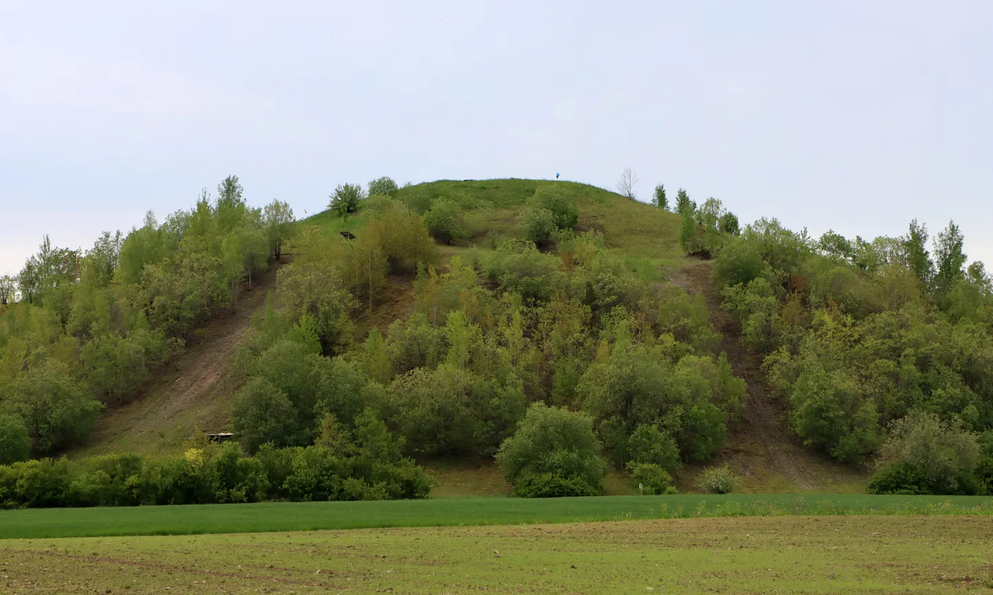 Kukruse mäele peaks lähiajal heisatama 18meetrise masti otsa suur sinimustvalge lipp, mis on kavas tulevikus ka valgustada.