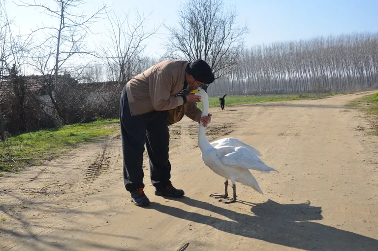 Raksta foto