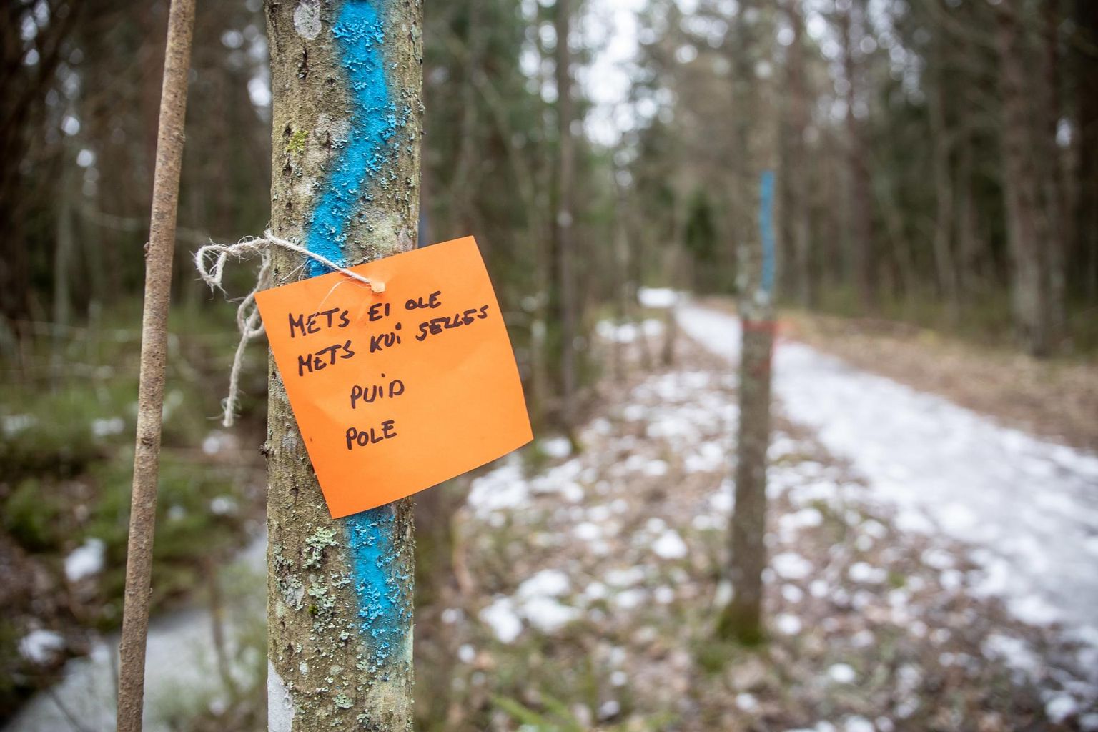 Kogukonna protest metsaraie ja autotee rajamise vastu Tallinnas Kakumäel.