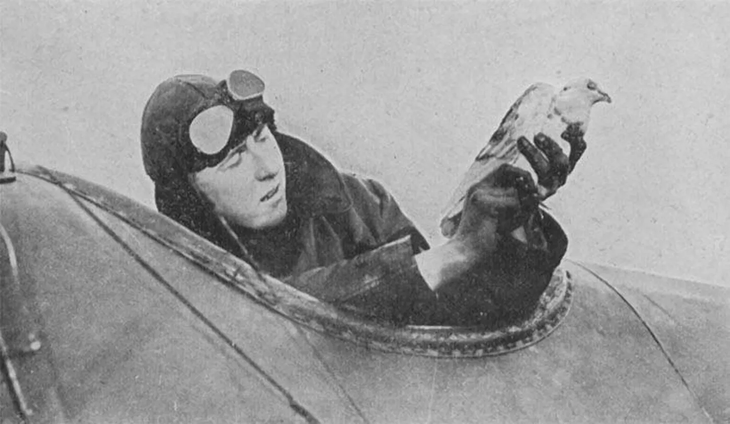 Article photo