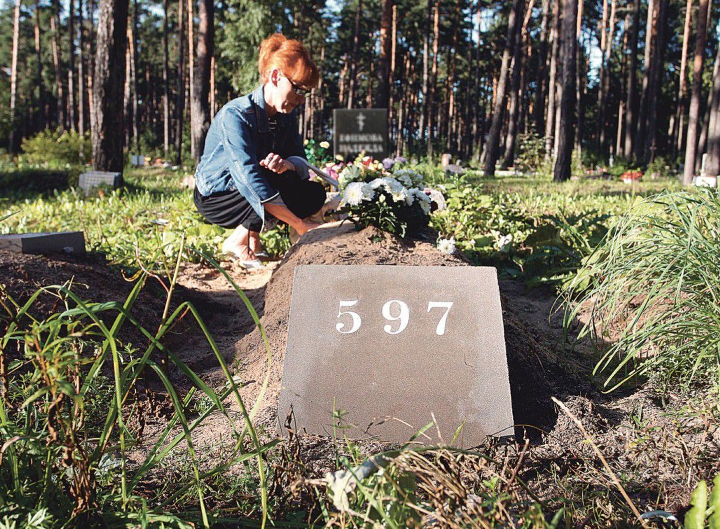 Svetlana Koltovskaja püüab olla vapper, käib Liiva kalmistul hauale nr 597 lilli viimas ja ootab seda hetke, mil  saaks poja lõpuks perekonna hauaplatsile ümber matta.