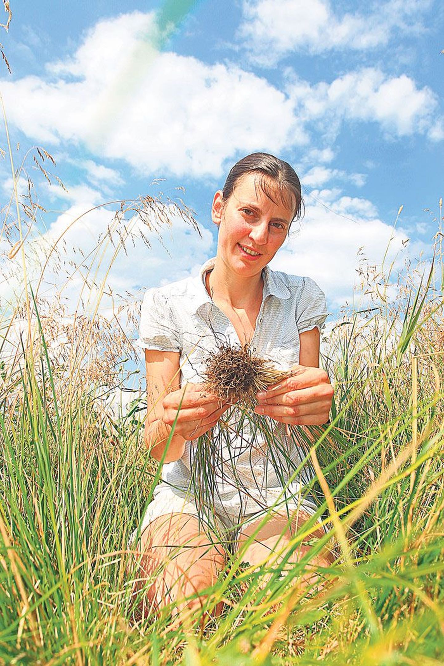 На примере луговика дернистого научный сотрудник Тартуского университета Мария Семченко изучала, каким образом растения общаются между собой.