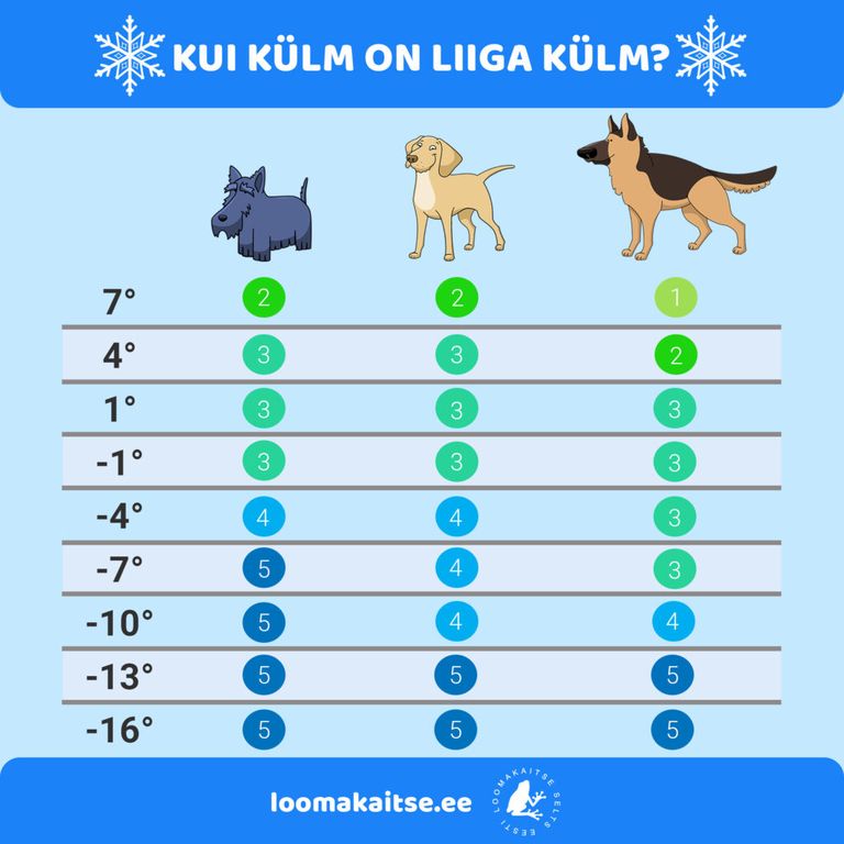 Таблица, оценивающая влияние разных температур на состояние собак разных размеров. 