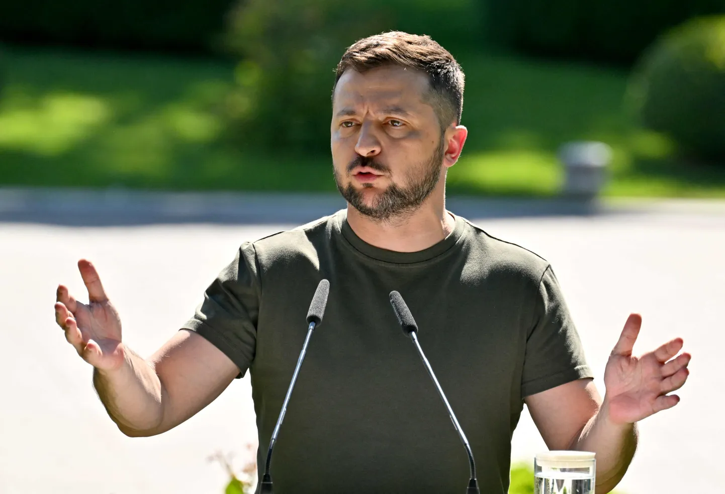 Владимир Зеленский