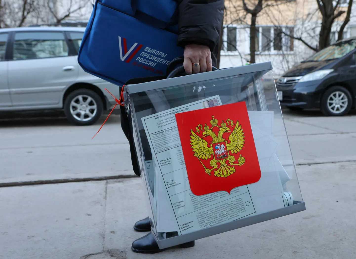 Выборы в Белгороде