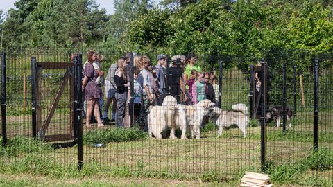 Kelgukoerte peremees sai aediku valmis mõni tund enne talu väravate avamist