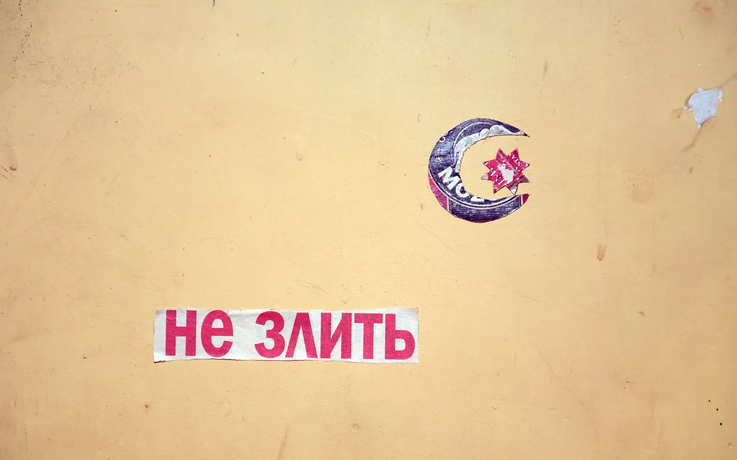 Иллюстративное фото