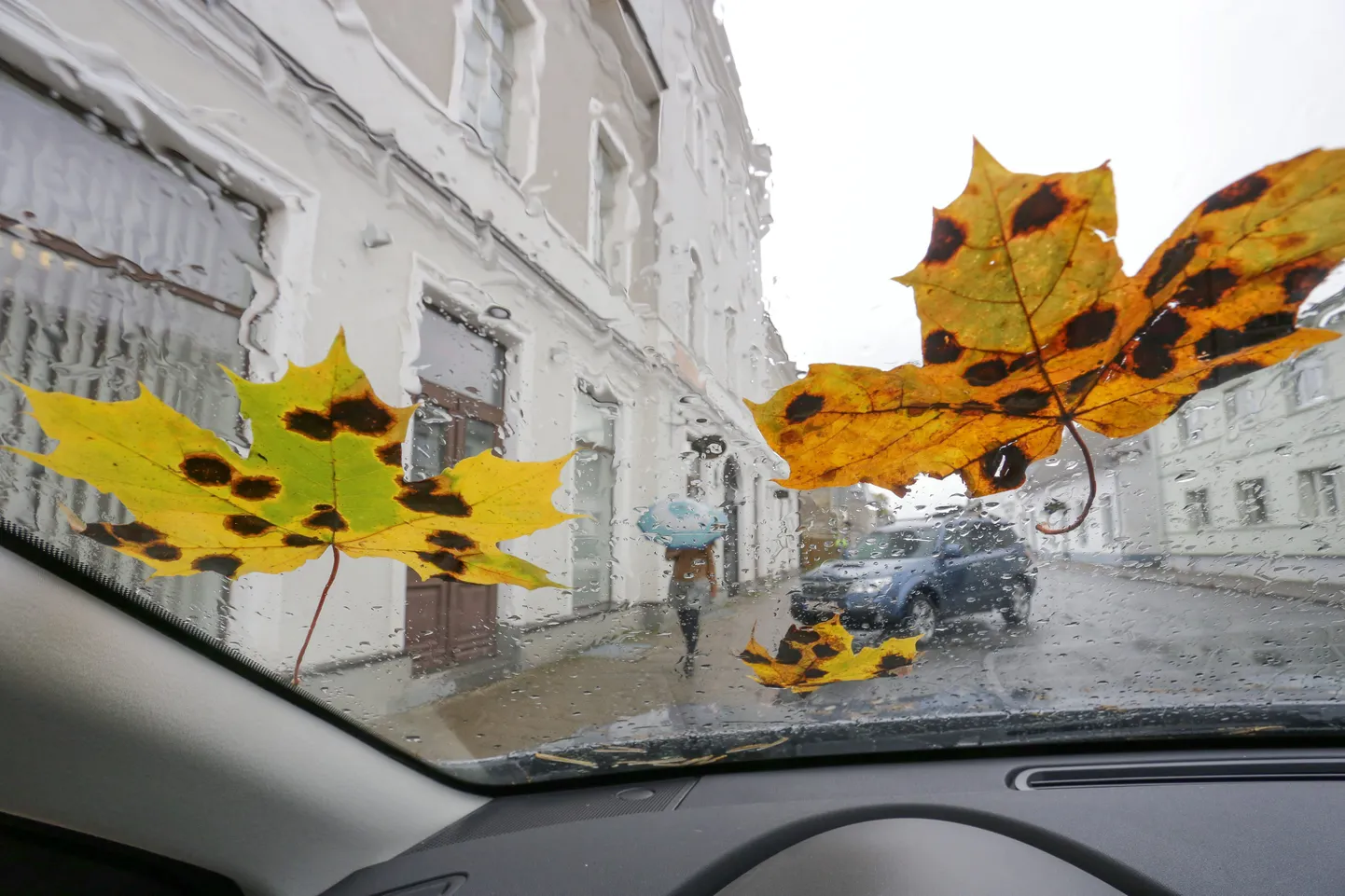 Sel nädalal algas sügis.