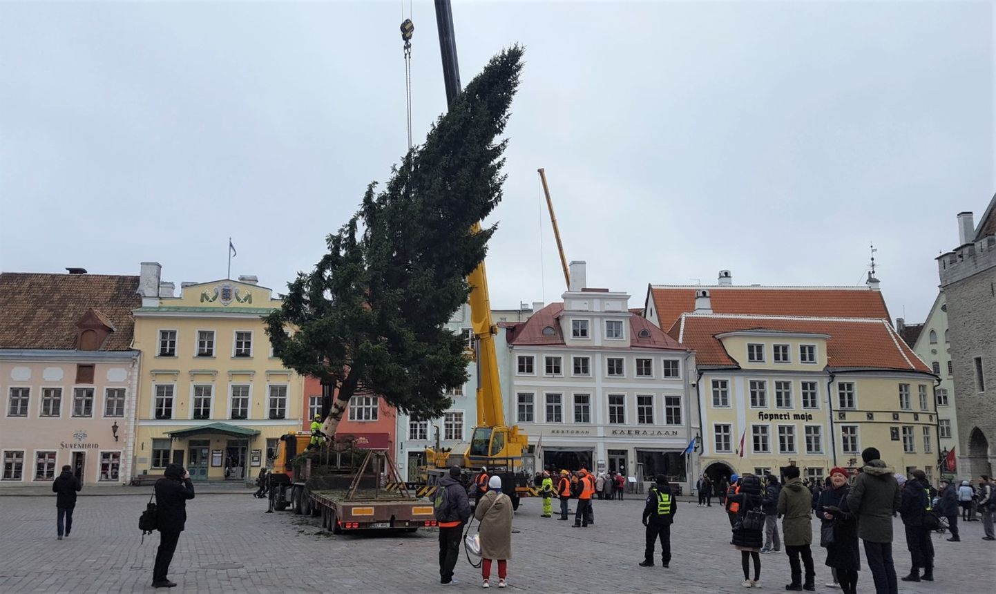 Selleaastase jõulukuuse jõudmine Tallinna raekoja platsile.
