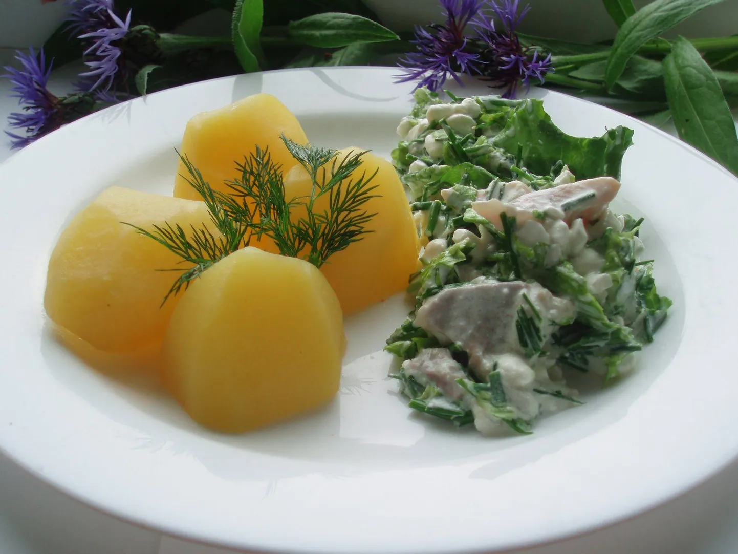 Heeringa-kodujuustusalat rohelisega