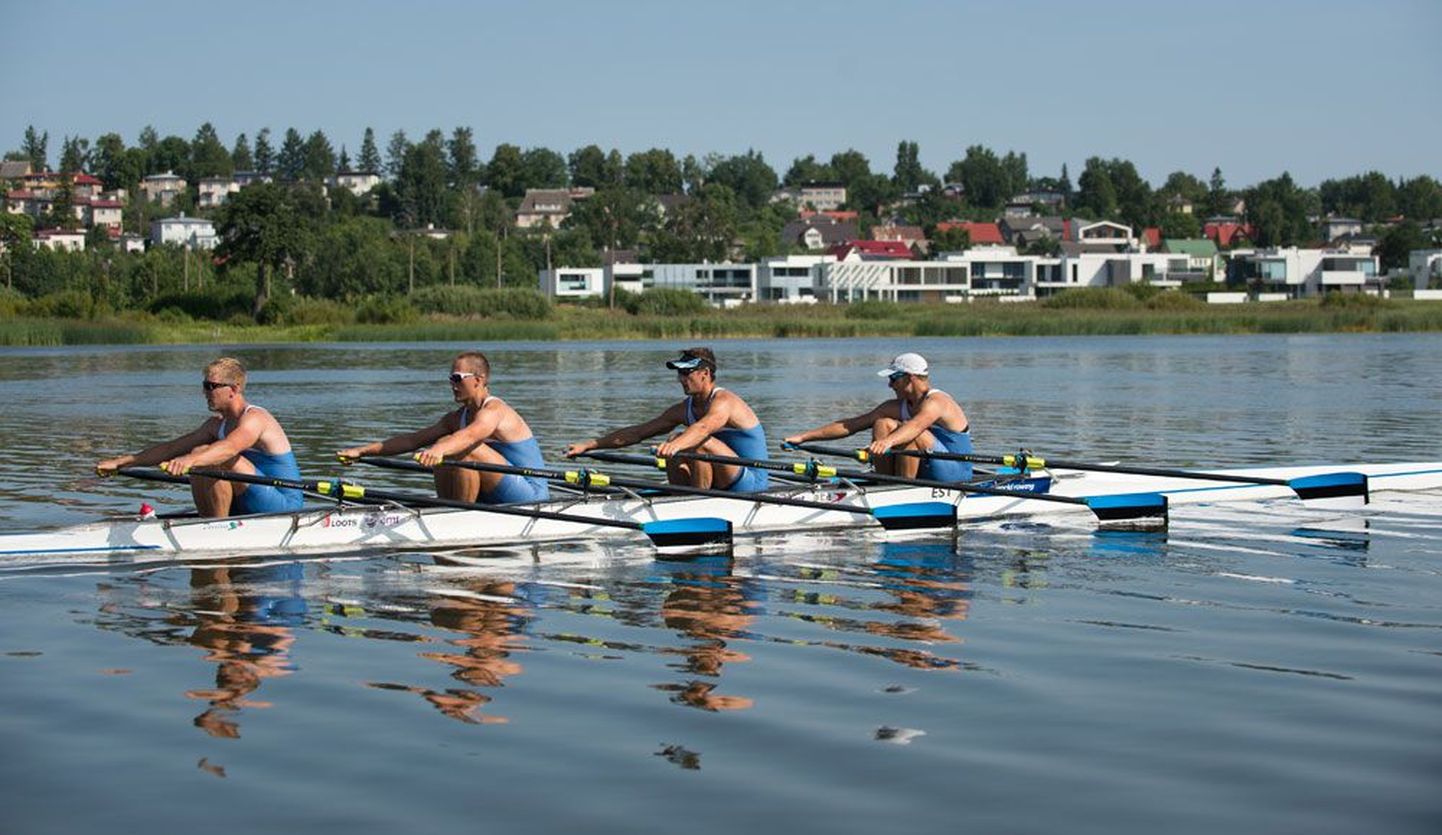 Paarisaerulise neljapaadi liikmed annavad kodusel Viljandi järvel MMiks veel viimast lihvi. Eelkõige pannakse rõhku tehnikale ning timmitakse teravust ja kiirust.