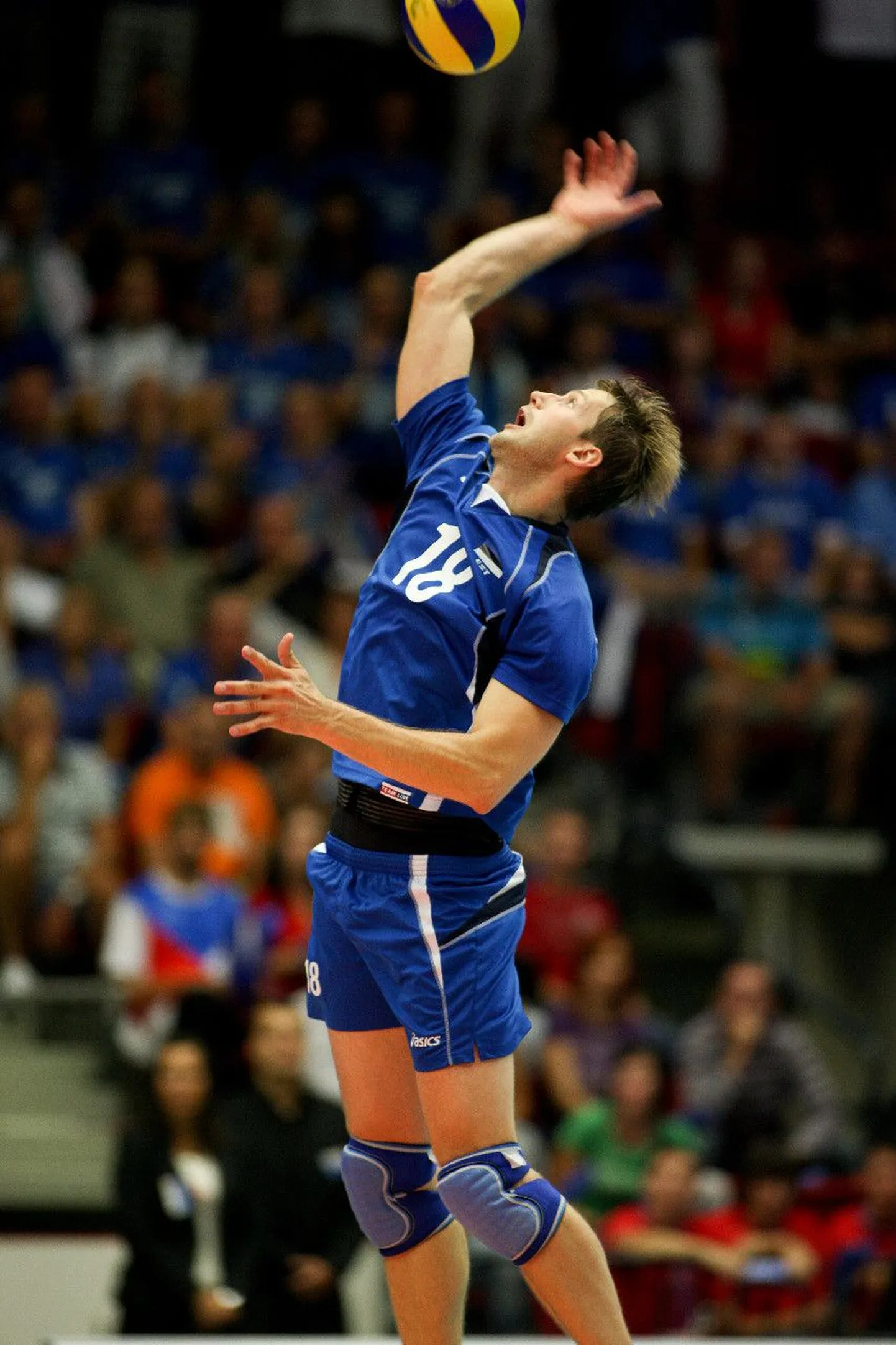 Jaanus Nõmmsalu.