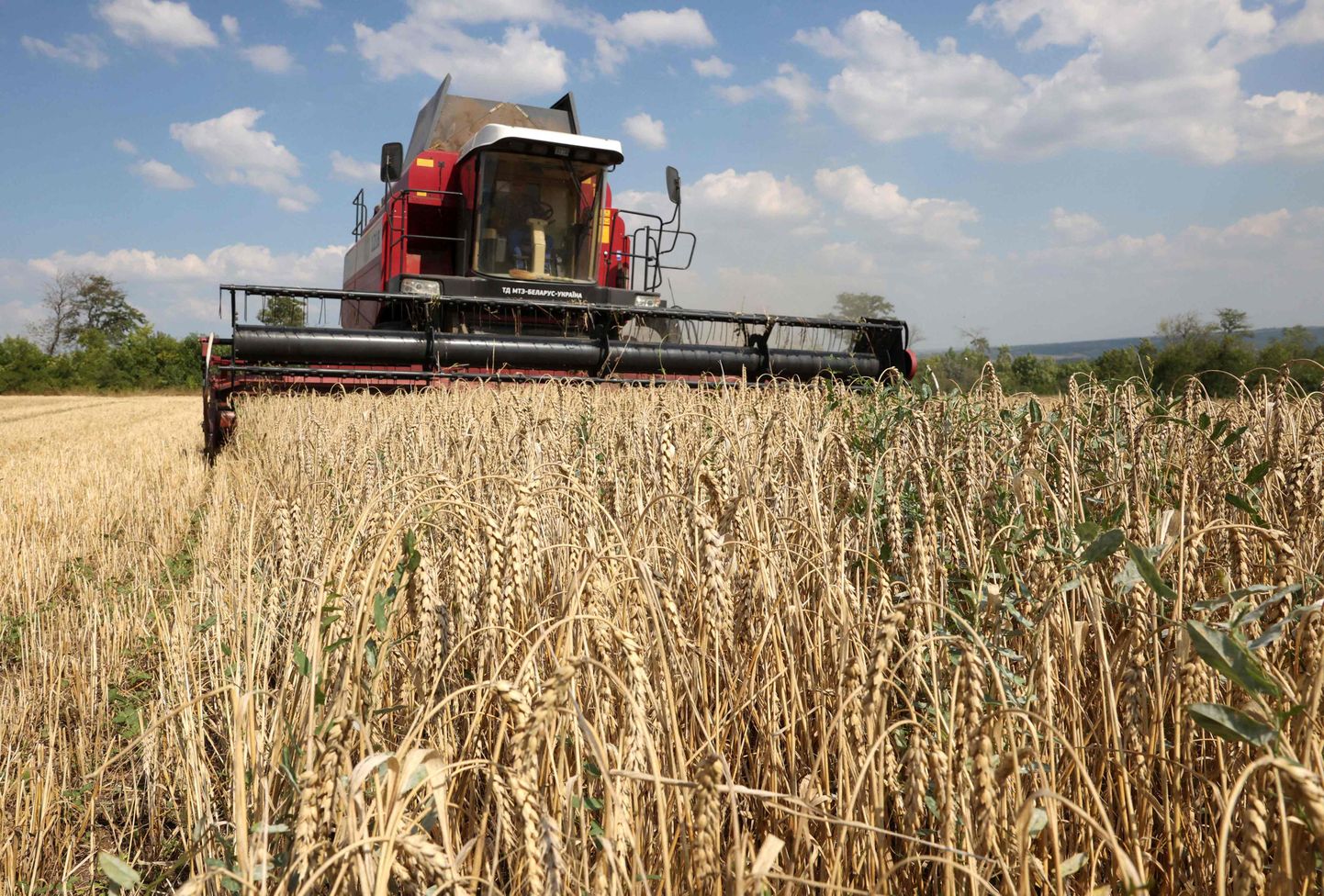 Сбор урожая в Краматорске, Украина. Вступив в ЕС, Киев получит право на поддержку в размере более 96 миллиардов евро в рамках единой сельскохозяйственной политики.