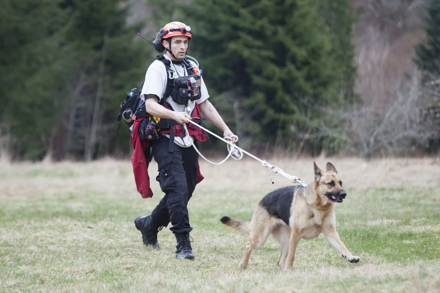 USAs Washingtoni osariigis Osos otsitakse maalihke tagajärjel kadunuks jäänuid koerte abil