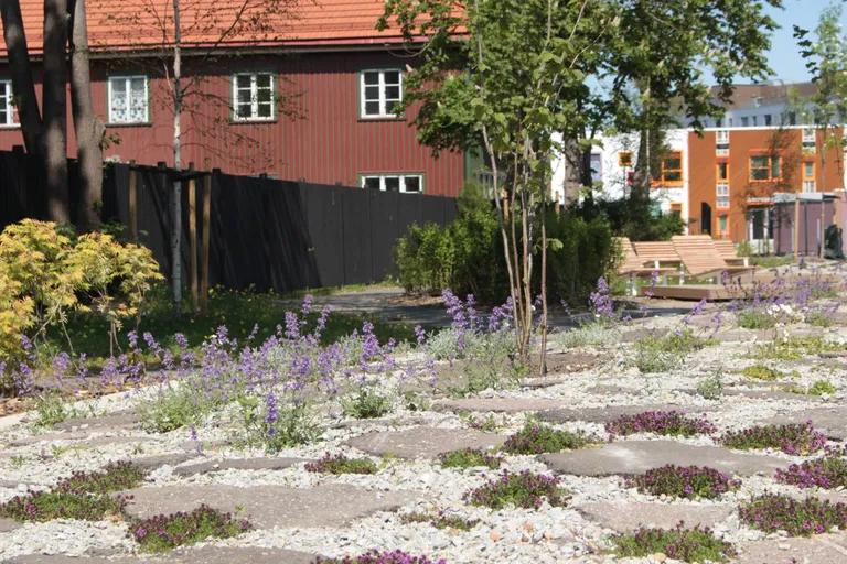 Uus-Veerenni park.