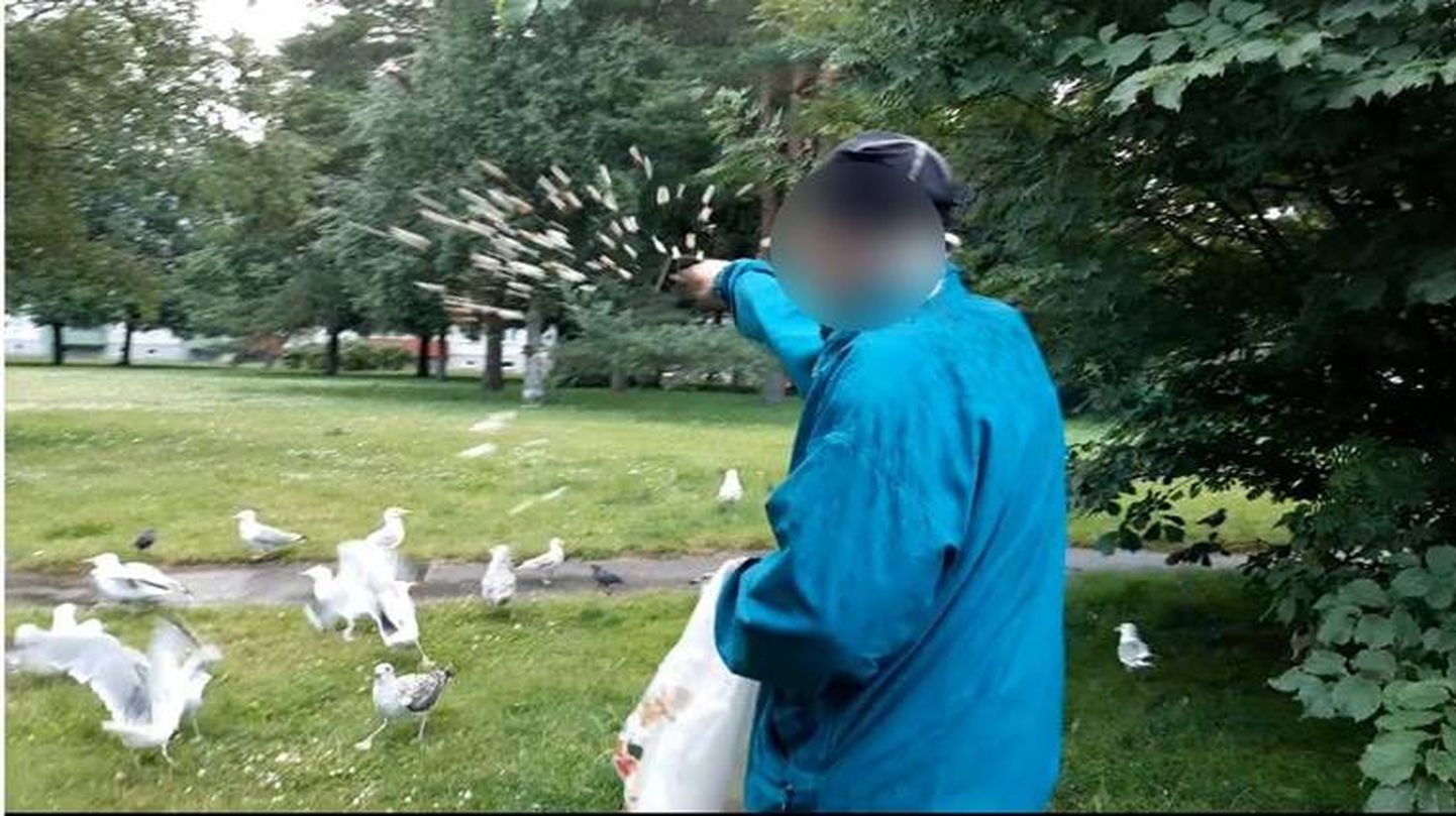 Vanahärra ei lõpetanud lindude toitmist ka inspektorite saabudes.