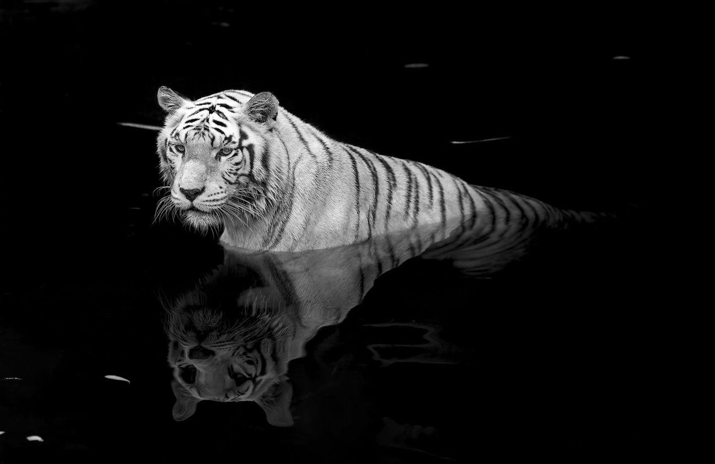 Ka Aasia tiigrid ei suuda maailma majandust enam veepeal hoida